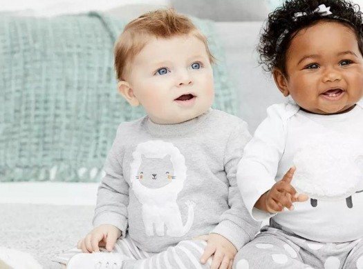 Como comprar na Carter's dos EUA