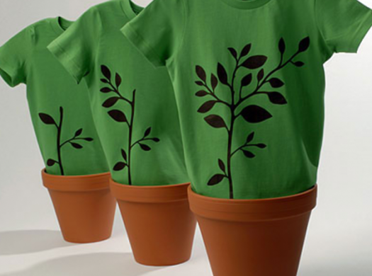 Veja sugestões de roupas e calçados eco-friendly dos EUA