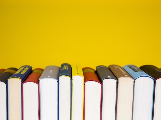 Livros infantis estrangeiros na Amazon