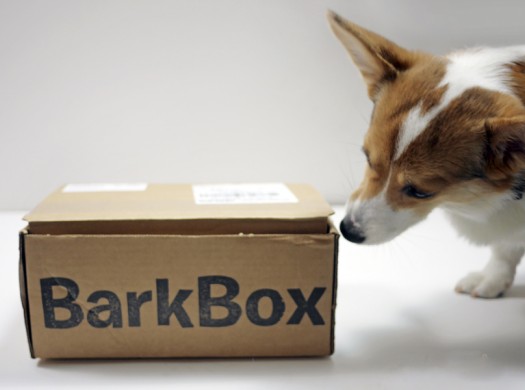 O que há na caixa-preta? A Beauty Box, com incríveis cosméticos, e outros kits de produtos por assinatura diretamente dos EUA