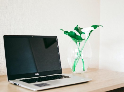 How to buy products in the Dell Store