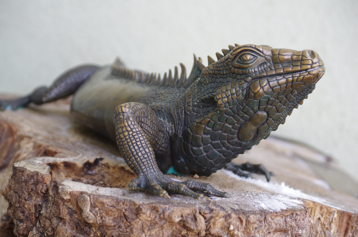 Особенности - Блог Бандерольки, рис. 1 Pentax X-5 2