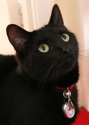 Где купить? - Блог Бандерольки, рис. 2 Click’n Dig 6