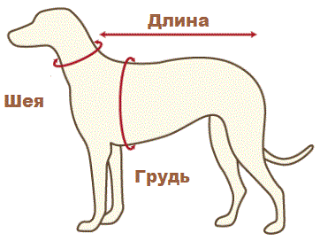 Все для наших питомцев 12