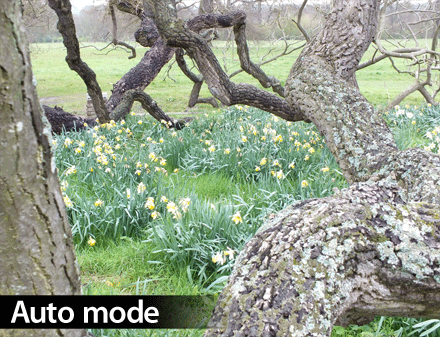 Fujifilm FinePix HS30EXR 5