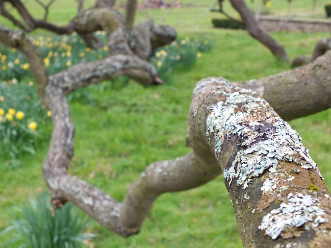 Fujifilm FinePix HS30EXR 8