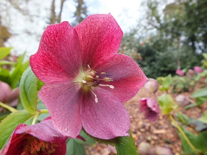 Fujifilm FinePix HS30EXR 9