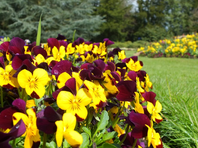 Fujifilm FinePix HS30EXR 10