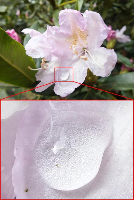 Fujifilm FinePix HS30EXR 11