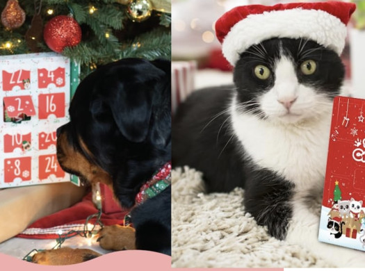 Адвент календарь для собак и кошек