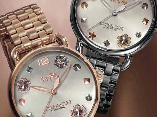 Лучший способ купить часы Coach