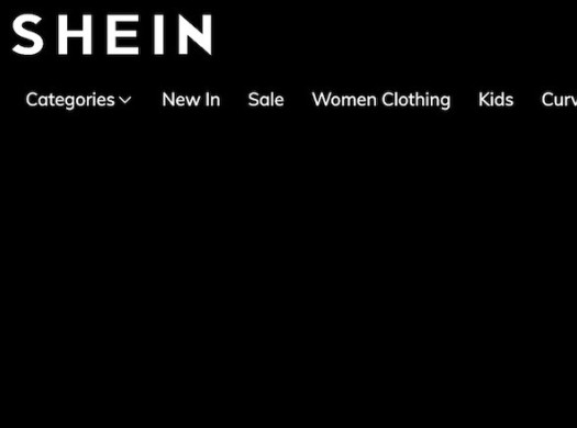 Как заказать с Shein в Россию