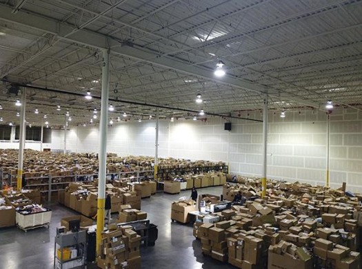 Эволюция Бандерольки