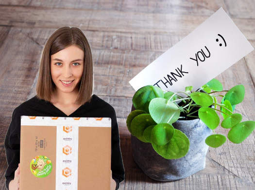 Как общаться с продавцами на Amazon, eBay и Etsy