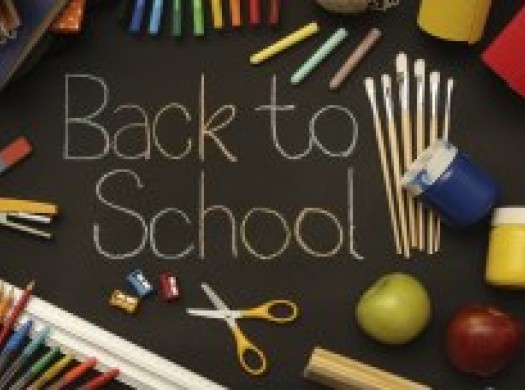 Сани летом: покупаем все необходимое к школе