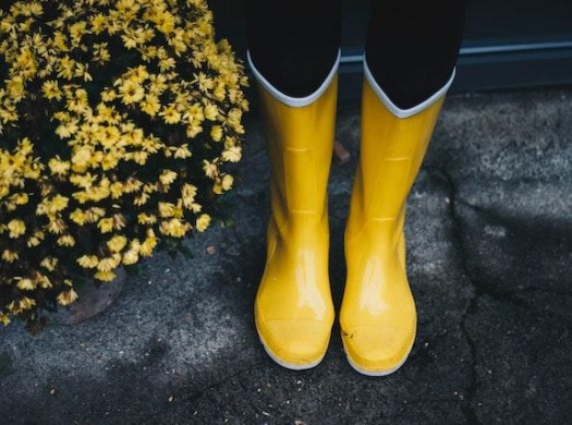 Модные сапоги на случай дождя