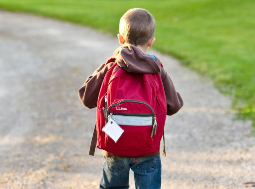 Школьные рюкзаки, сумки, портфели и ранцы