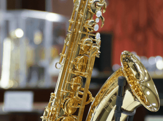 Духовые музыкальные инструменты из Америки - как купить с доставкой из США