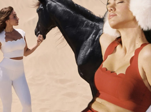 Спортивная одежда WISKII: особенности, скидки и заказ