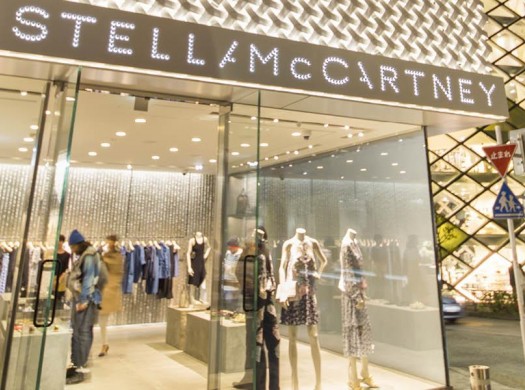 Стелла Маккартни: самый экологичный модный бренд