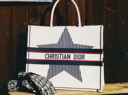 Сумки Christian Dior: