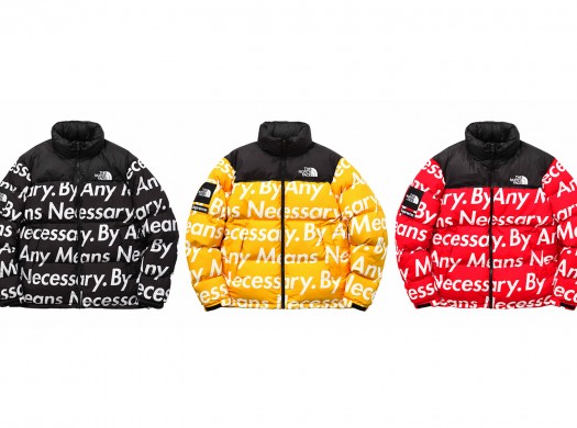 Supreme + The North Face: два в одном