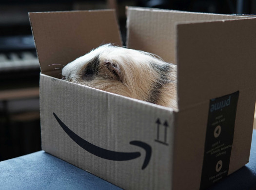 Топ-10 необычных подарков на Amazon до 20$