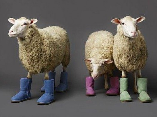 UGG AUSTRALIA: модное может быть удобным