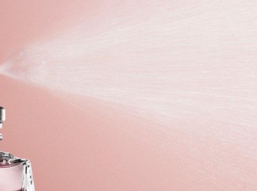 Заказываем ароматы от Chanel на официальном сайте