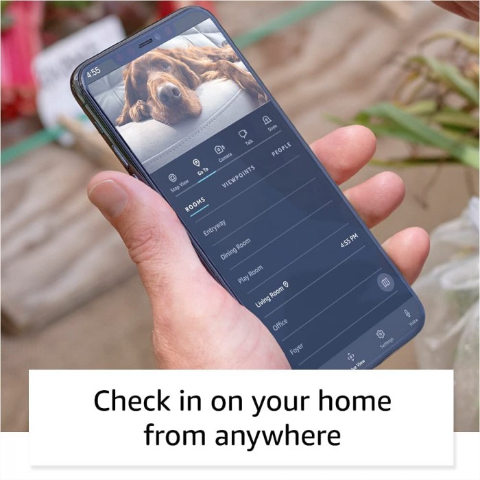 Спорная эргономика домашнего робота - Блог Бандерольки, рис. 1 Преимущества Amazon Astro